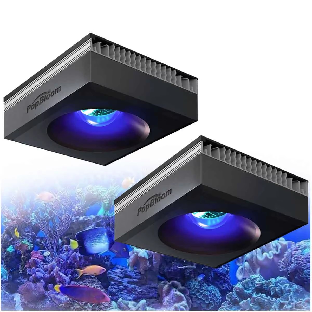 Aquarium Marine Fishes - PopBloom RL90 WiFi Reef Aquarium Light