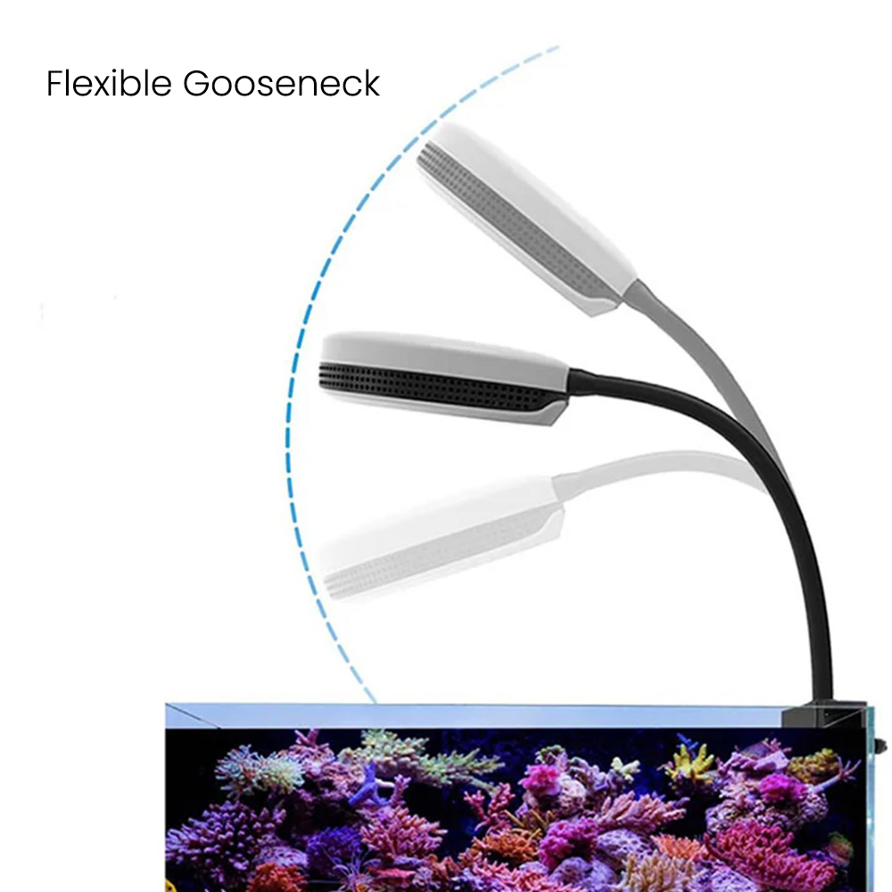 Spectra SP20 20W Aquarium LED  - Aquarium Marine Fishes recensie en prijs