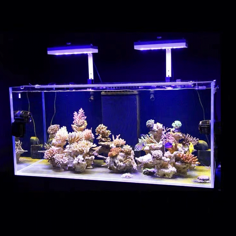 Aqua Illumination AI Hydra 32H - Aquarium Marine Fishes recensie en prijs