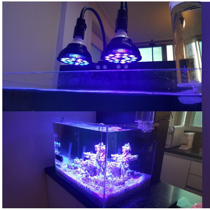 Free customize LED Aquarium li - Aquarium Marine Fishes recensie en prijs