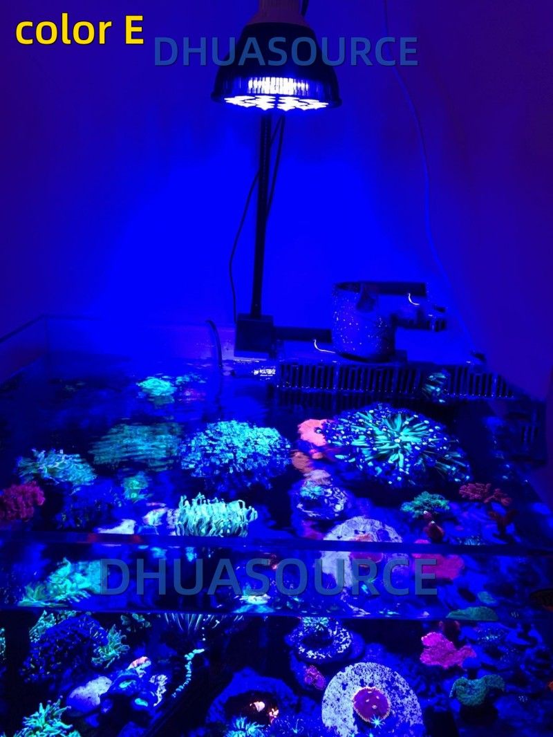 Free customize LED Aquarium li - Aquarium Marine Fishes recensie en prijs
