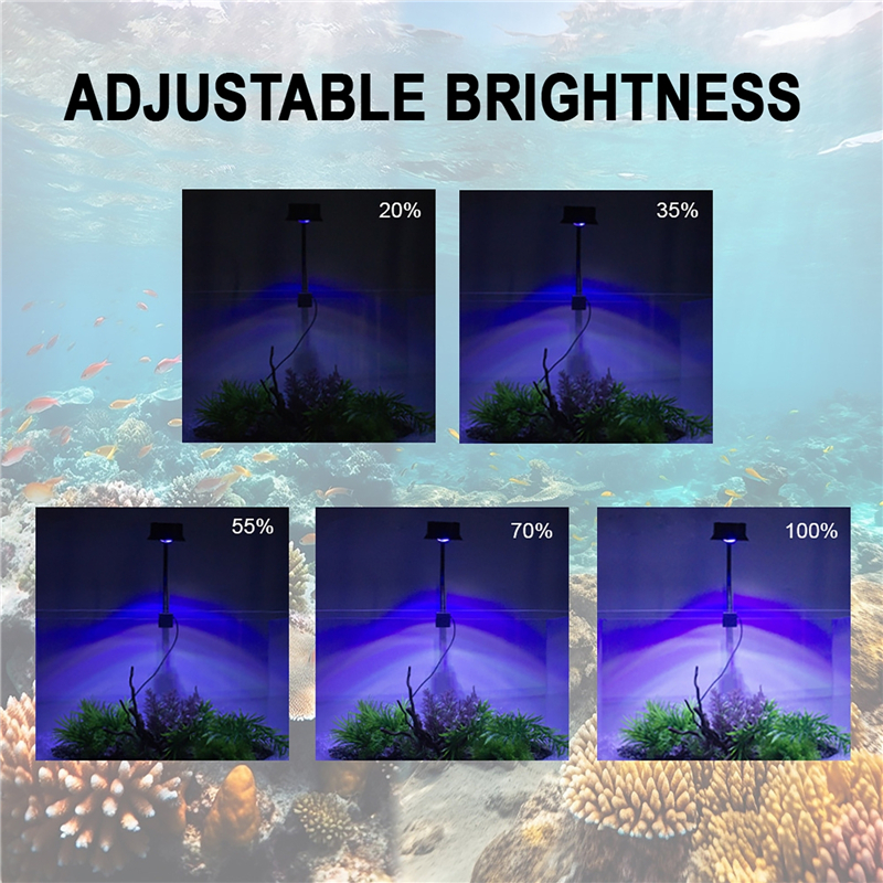 30W Aquarium Fish Tank Sea Wat - Aquarium Marine Fishes recensie en prijs