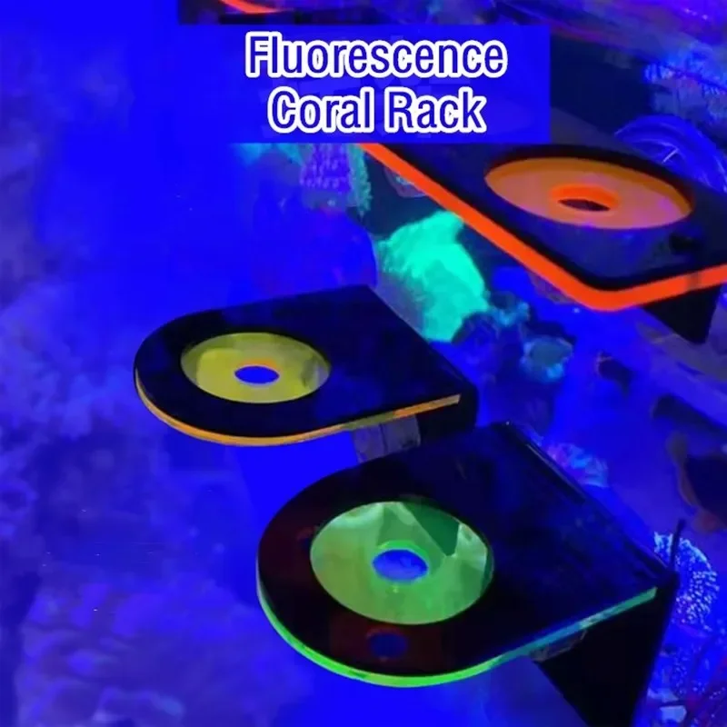 Fish Tank Acrylic Fluorescent  - Aquarium Marine Fishes recensie en prijs