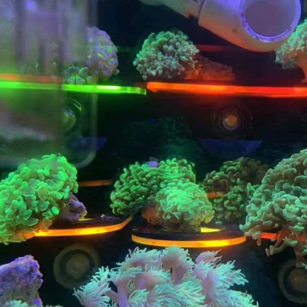 Fish Tank Acrylic Fluorescent  - Aquarium Marine Fishes recensie en prijs
