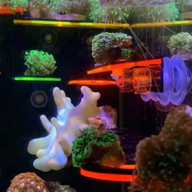 Fish Tank Acrylic Fluorescent  - Aquarium Marine Fishes recensie en prijs